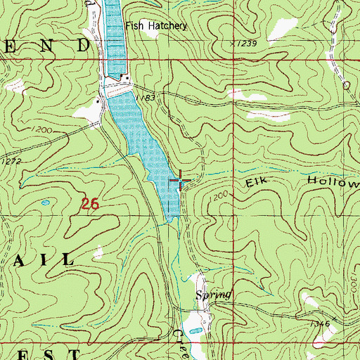 Topographic Map of Elk Hollow, MO