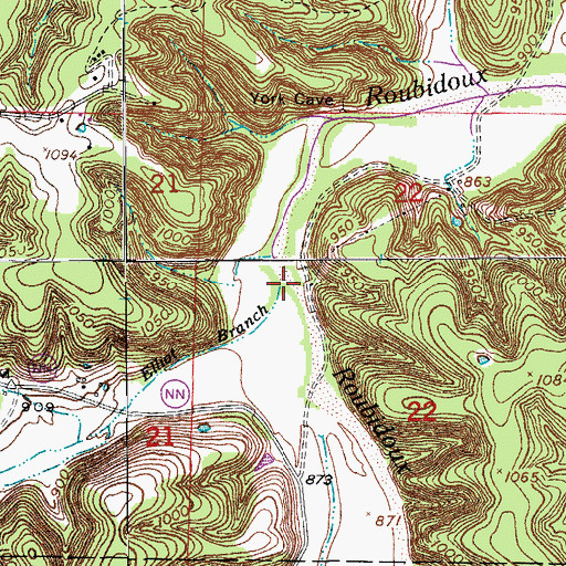 Topographic Map of Elliot Branch, MO