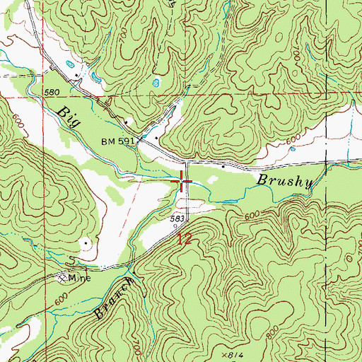 Topographic Map of Elm Branch, MO