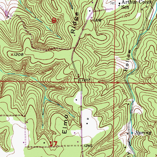 Topographic Map of Elmo Ridge, MO