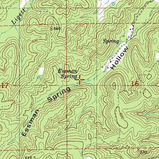 Topographic Map of Essman Spring, MO