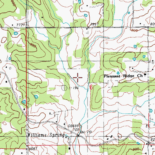 Topographic Map of Evans Hollow, MO