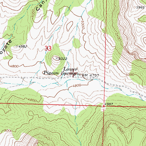 Topographic Map of Lower Pigeon Spring, AZ