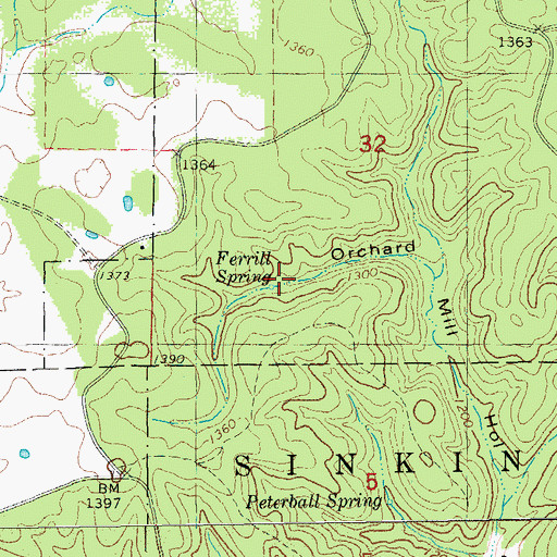 Topographic Map of Ferrill Spring, MO