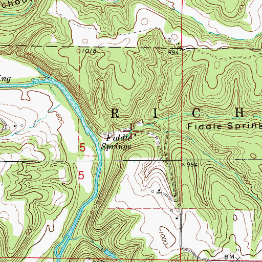 Topographic Map of Fiddle Springs, MO
