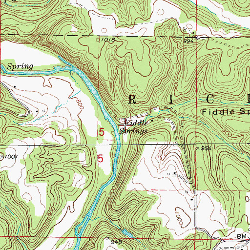 Topographic Map of Fiddle Springs Hollow, MO