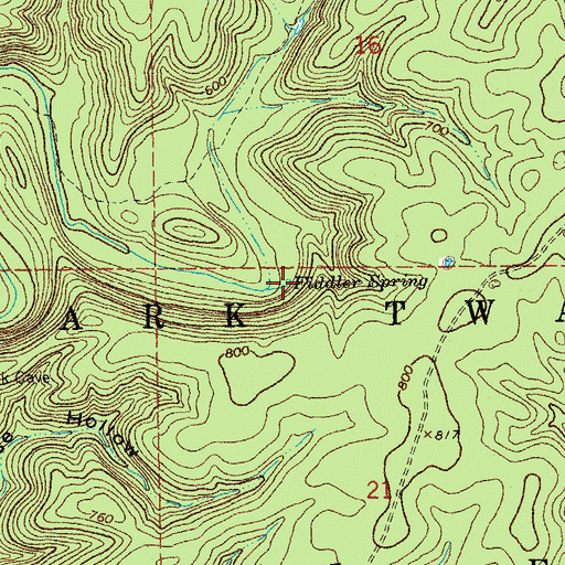 Topographic Map of Fiddler Spring, MO