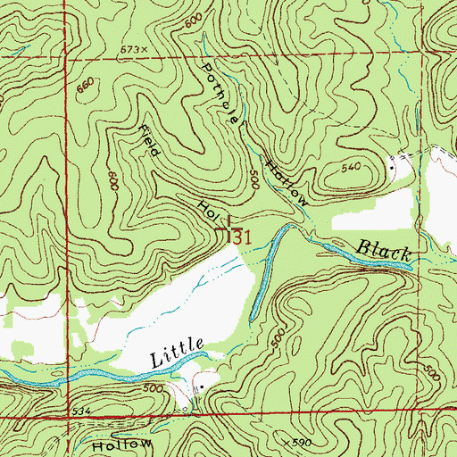 Topographic Map of Field Hollow, MO