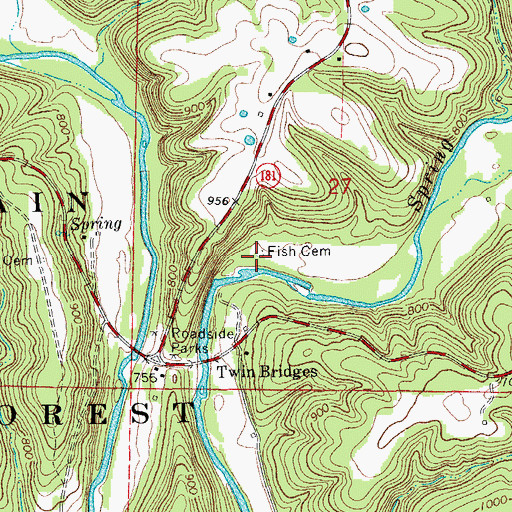 Topographic Map of Fish Cemetery, MO