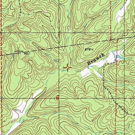 Topographic Map of Flagg Branch, MO