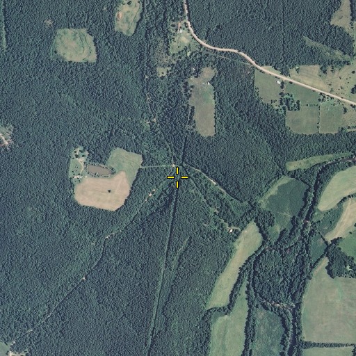 Aerial/Satellite Image of Flagmire Hollow, MO