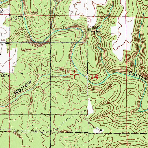 Topographic Map of Flatrock Hollow, MO