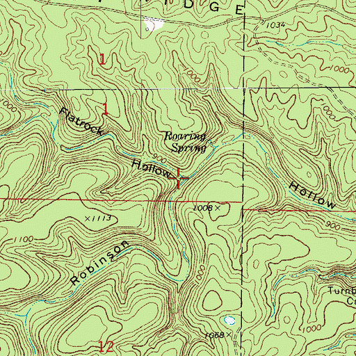 Topographic Map of Flatrock Hollow, MO