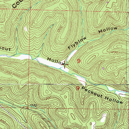 Topographic Map of Flyblow Hollow, MO