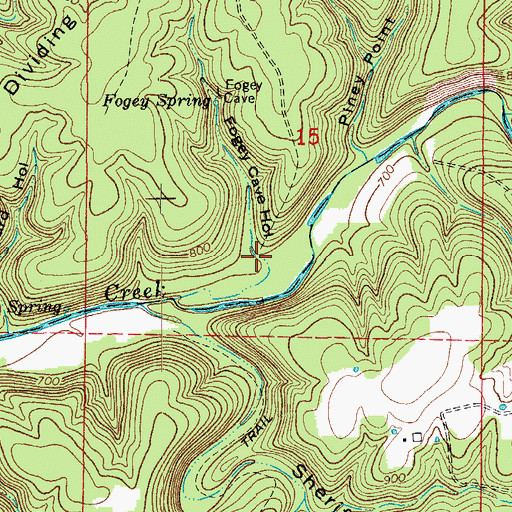 Topographic Map of Fogey Cave Hollow, MO