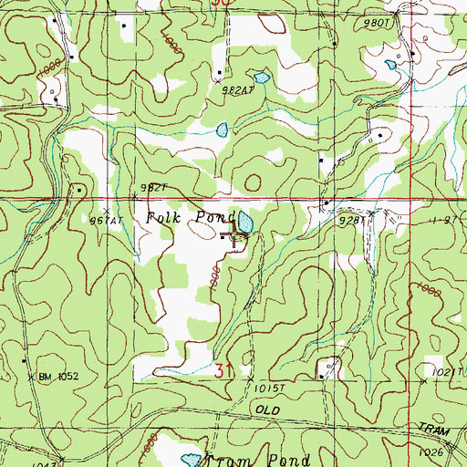 Topographic Map of Folk Pond, MO