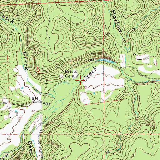 Topographic Map of Fools Catch Creek, MO