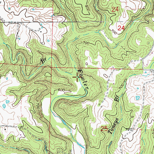 Topographic Map of Foster Branch, MO