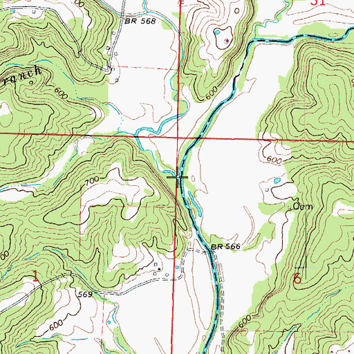 Topographic Map of Fowler Creek, MO