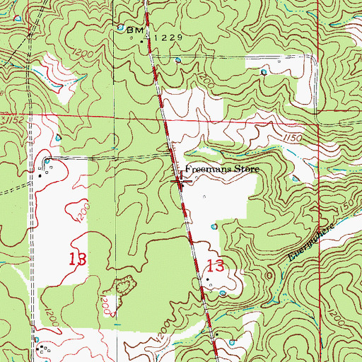 Topographic Map of Freemans Store, MO