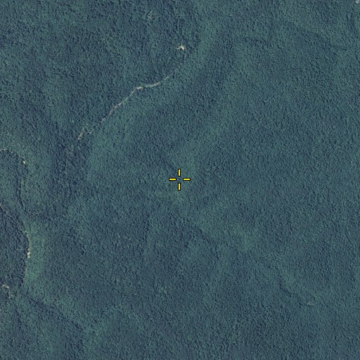 Aerial/Satellite Image of Galloway Spring, MO