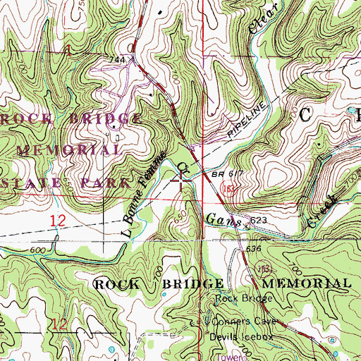 Topographic Map of Gans Creek, MO
