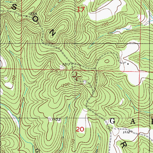 Topographic Map of Garrison Ridge, MO