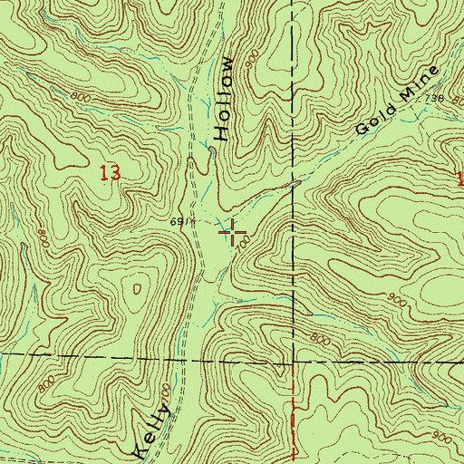 Topographic Map of Gold Mine Hollow, MO