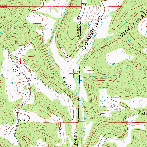 Topographic Map of Goldsbarry Hollow, MO