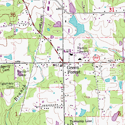 Topographic Map of Green Forest, MO