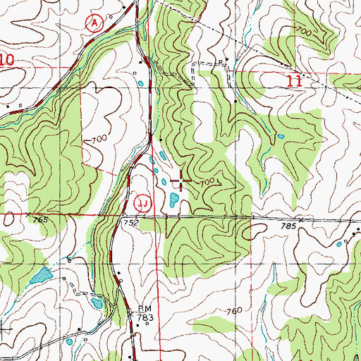 Topographic Map of Green School, MO