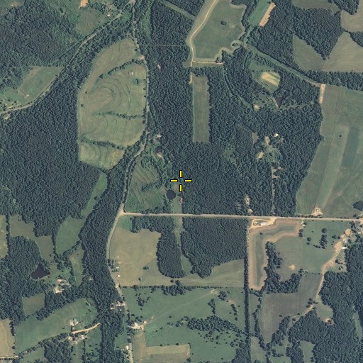 Aerial/Satellite Image of Green School, MO