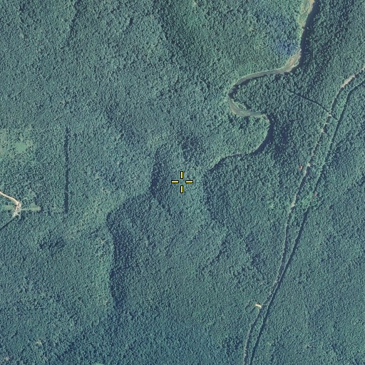 Aerial/Satellite Image of Greer Spring, MO