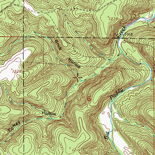 Topographic Map of Grub Hollow, MO