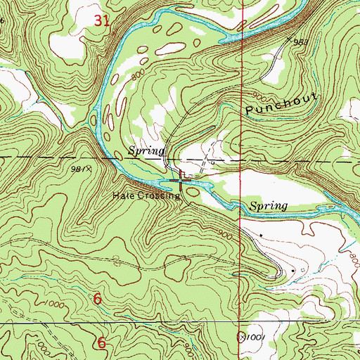 Topographic Map of Hale Crossing, MO