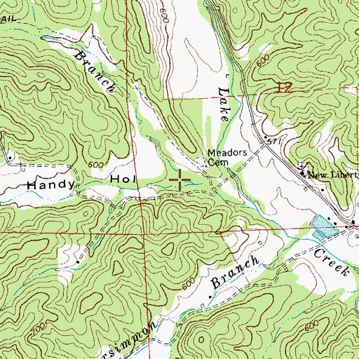 Topographic Map of Handy Hollow, MO