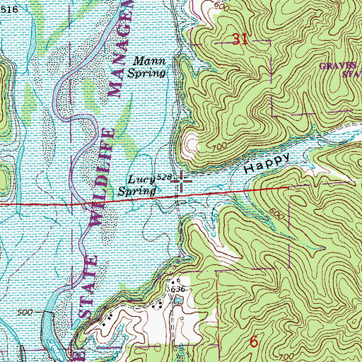 Topographic Map of Happy Hollow, MO