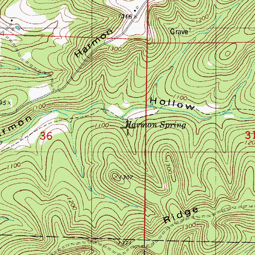 Topographic Map of Harmon Spring, MO