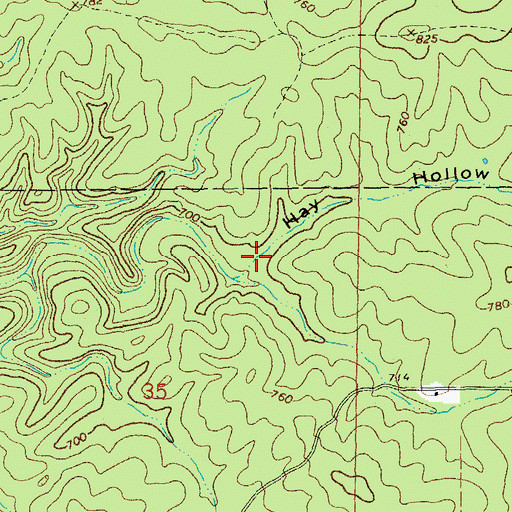Topographic Map of Hay Hollow, MO