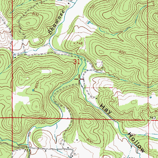 Topographic Map of Hay Hollow, MO