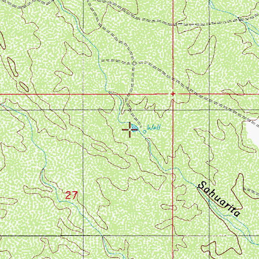 Topographic Map of Lower Sahuarita Dam (historical), AZ