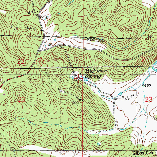 Topographic Map of Hickman Spring, MO