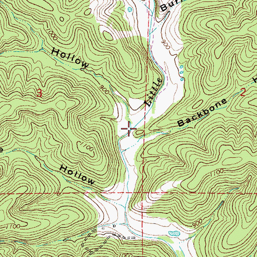 Topographic Map of Hickory Hollow, MO