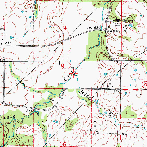 Topographic Map of Hitt Branch, MO