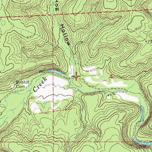 Topographic Map of Hog Hollow, MO