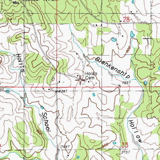 Topographic Map of Hollis Cemetery, MO