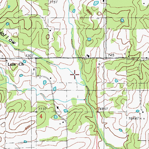Topographic Map of Hollis School Hollow, MO