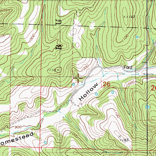 Topographic Map of Homestead School, MO