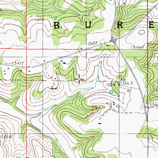 Topographic Map of Hopkins School (historical), MO