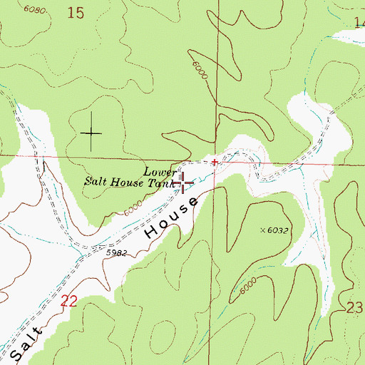 Topographic Map of Lower Salt House Tank, AZ